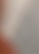 Guest_tay673421
