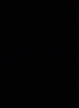 Guest_lightpinkcalifor32e8