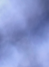 Guest_516k