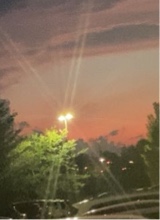 Guest_Jalisa36