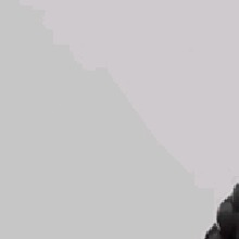 Guest_PIutoo