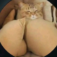 Guest_roxdarksalmon76ac