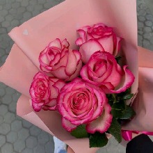 Guest_Julia659866