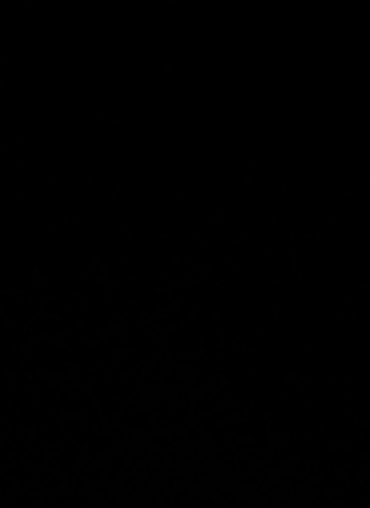 avatarbild
