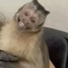 malillaafk