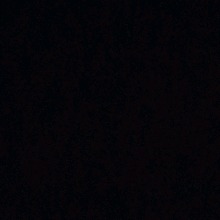 Guest_Nicollywzxx