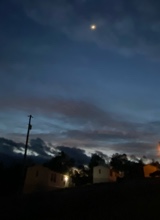 Guest_MrsFluffy4