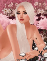 Guest_MusedeEtoile