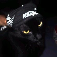Nortthh