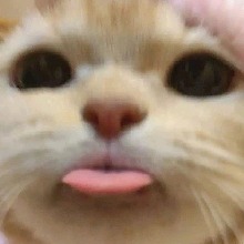 Guest_xnobodyinterestingx
