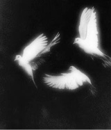 Guest_Lillith705955