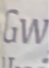 Guest_l123l