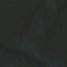Guest_Raven775378