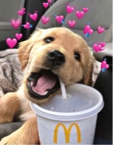 Guest_Feistyxo