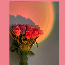 Guest_Pamela135