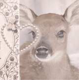 Guest_Kaikun