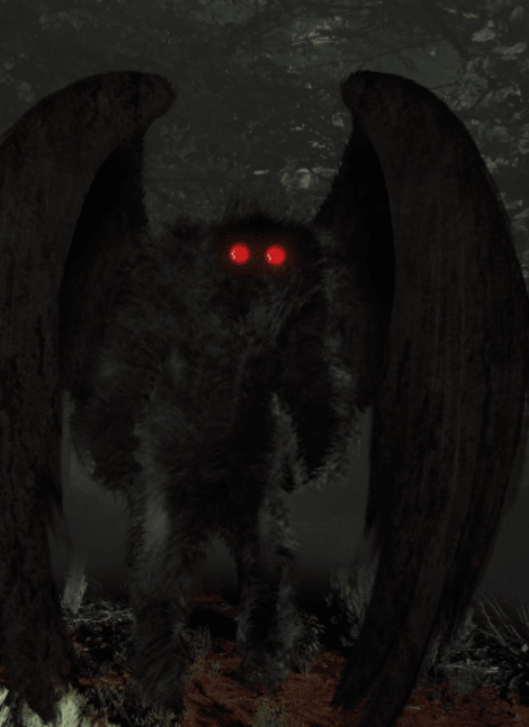 Guest_Moth38