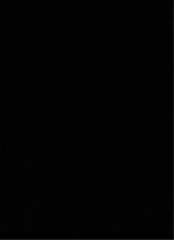 immagine avatar
