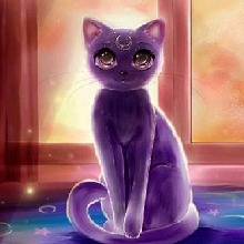 Jazy68654