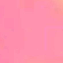 Guest_chanel9066