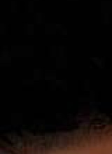 Guest_jaelynn380824