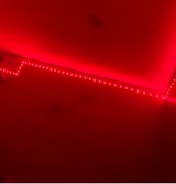 Guest_theylovenini12