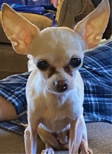 MakaylaRoseAikio