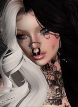 Guest_Alien239169