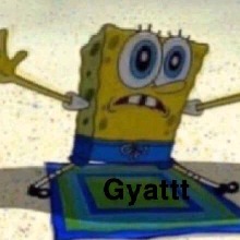 Guest_Nyah589659