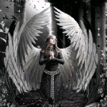 Guest_MrsQueenBee2