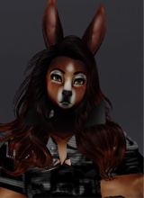 Guest_MrStallionHorse