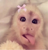 Guest_mayteq