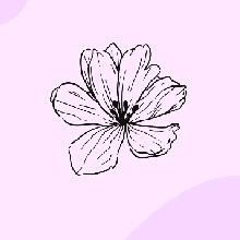Guest_Sthephy