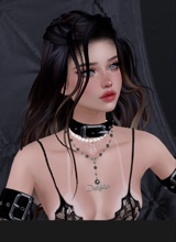CaseyMcSpeed