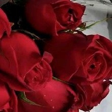 Guest_Maiarasantossilva1