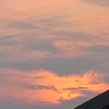 Guest_LizbethMartnez2