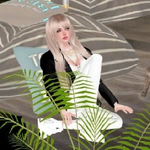 Guest_Aira518874