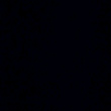 Guest_Leo588181