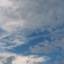 Guest_Lyra774810