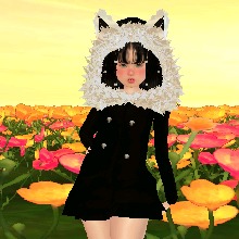 Guest_Nat816741
