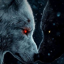Jwolf3