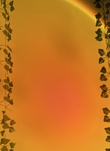 Guest_jayahb6