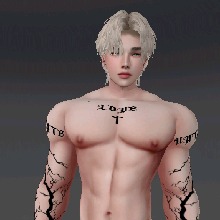 Guest_Fx011