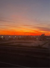 Guest_gabbaacfss
