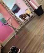 crysatalcarter