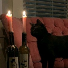 Guest_Gothgirlforever