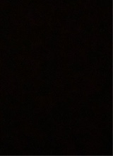 Guest_Ander25