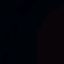 Guest_Moon339735