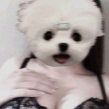 Guest_HXAX