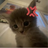 Guest_lola136660